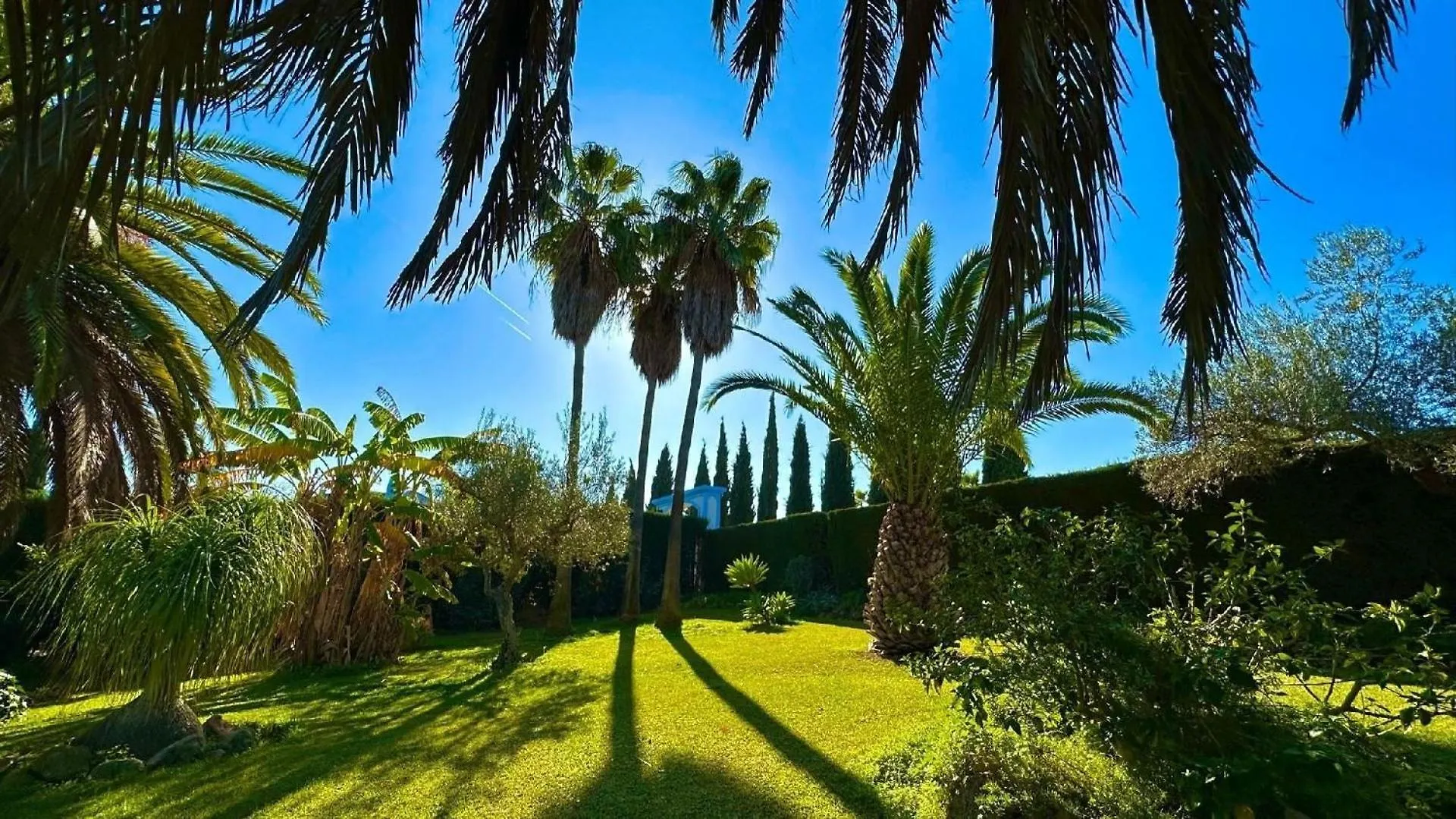 Ferienhaus Mit Privatpool Fuer 5 Personen Ca 135 Qm In Alhaurin El Grande, Andalusien Costa Del Sol